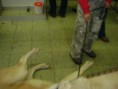 /album/fotogaleria/mix-098-jpg/